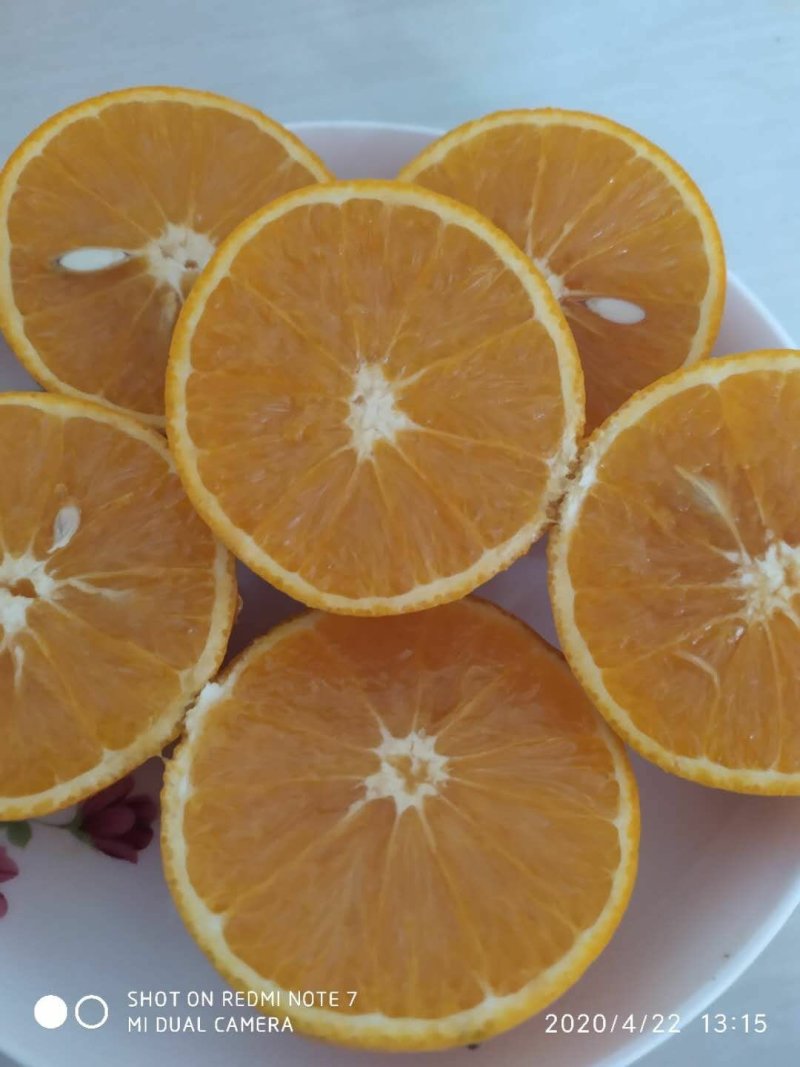 夏橙