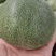 甜瓜上市，诚信代办，非诚勿扰。绿宝，花瓜等……