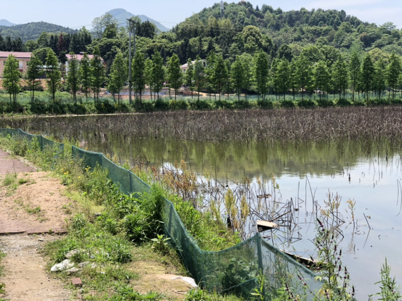 养殖场地出租。交通便利环境优美养殖休闲均可求合作