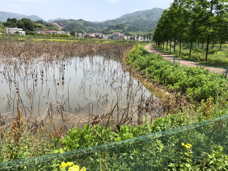 养殖场地出租。交通便利环境优美养殖休闲均可求合作