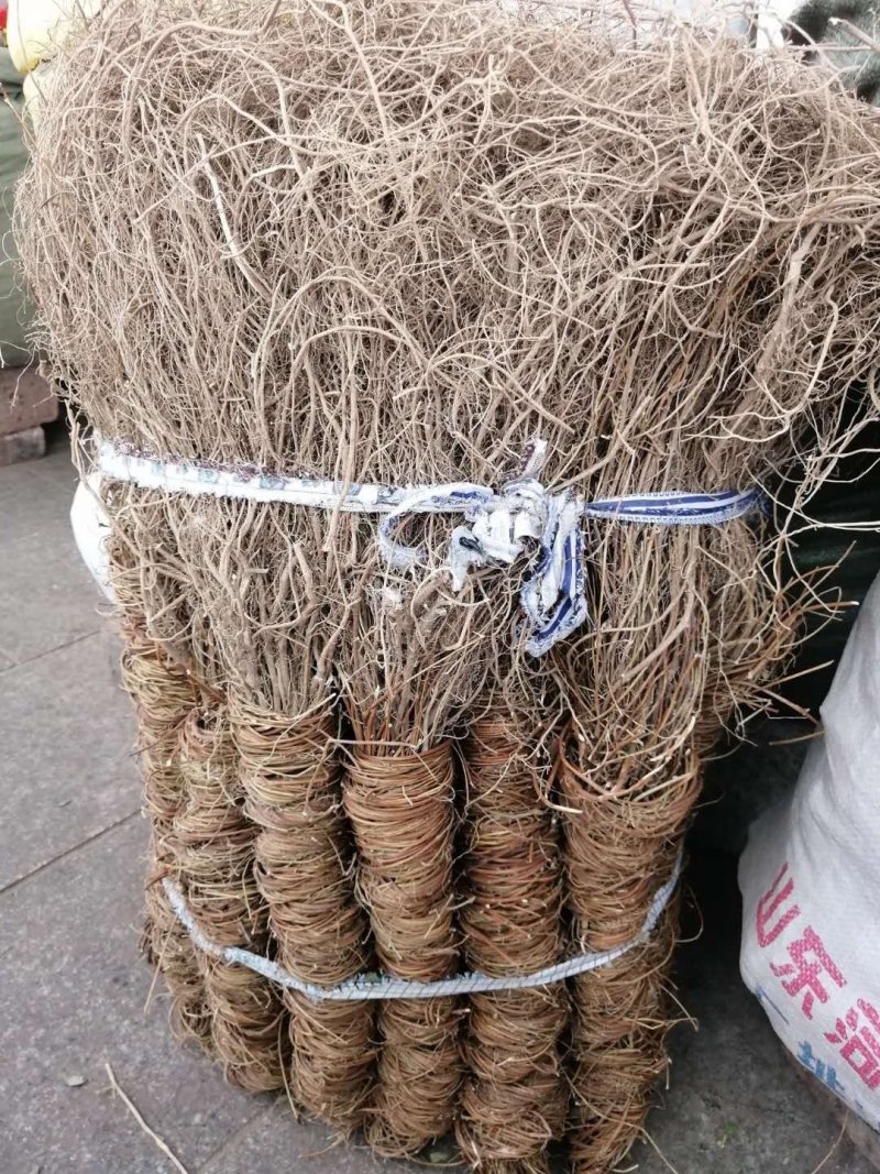 鸡骨草大、小叶鸡骨草全株，家种、野生均有货