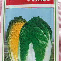 白菜种子