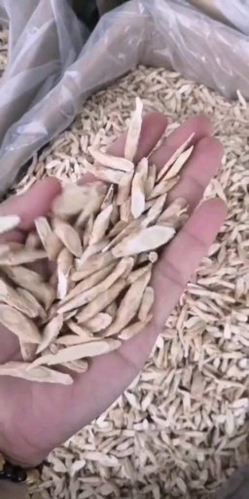 黄芪片，瓜子片、压片，无硫北芪片型好颜色靓干度好大量供应