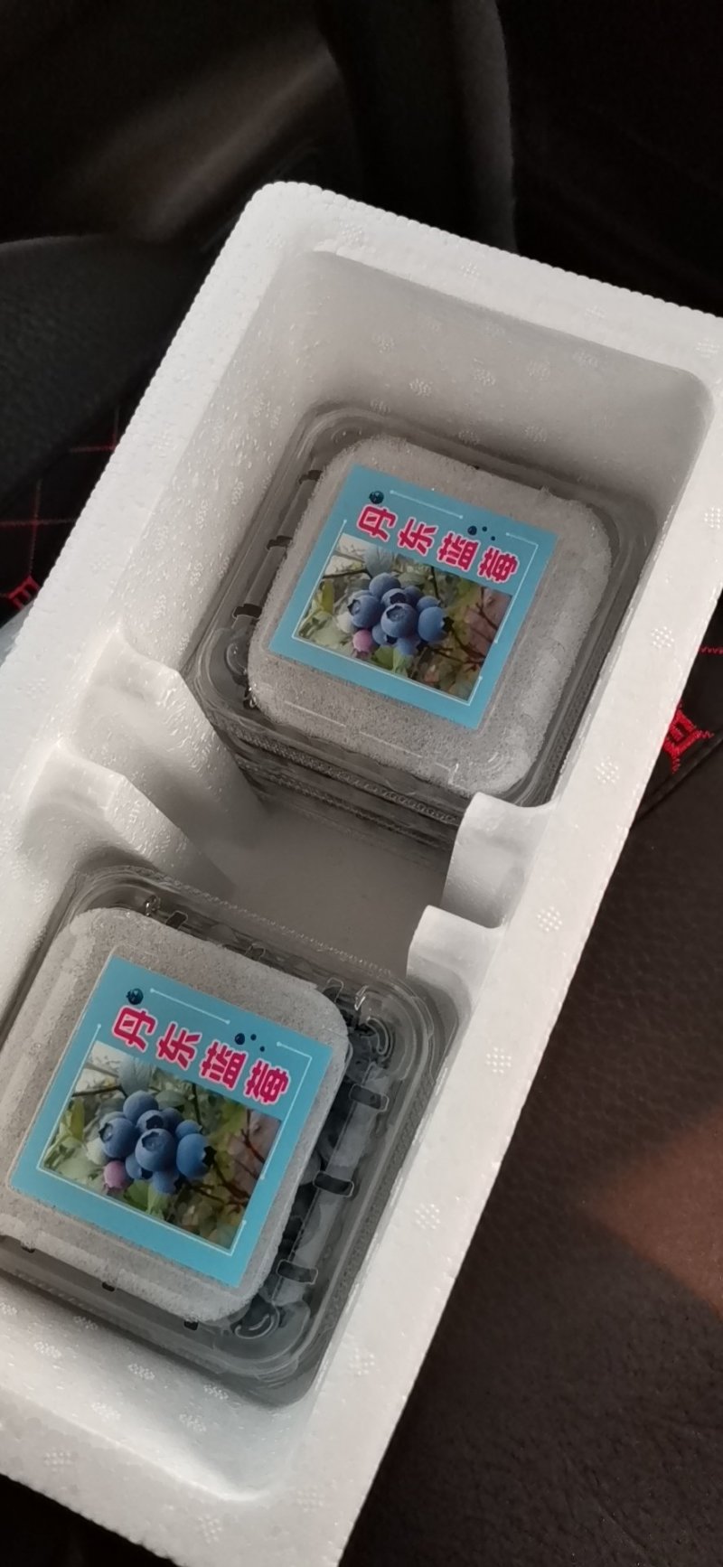 丹东蓝莓—自由，头茬果果粉好耐运输耐储存