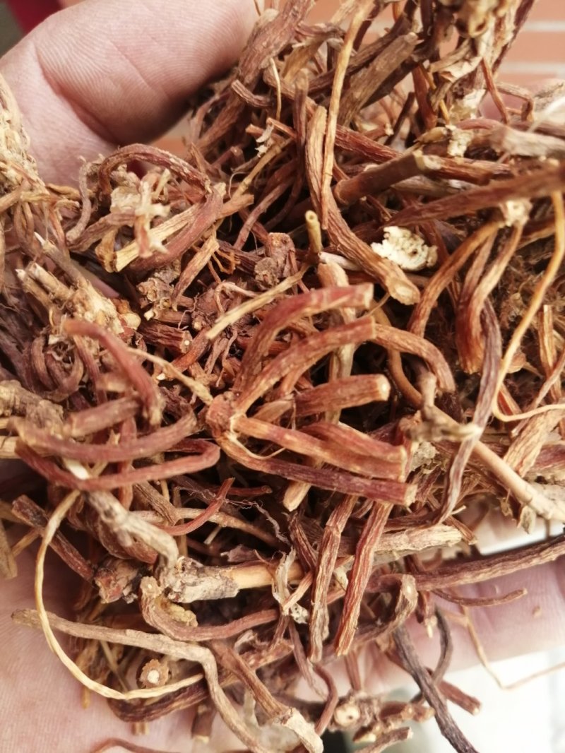 龙胆草，统货、全根，统货根切片、全根切片