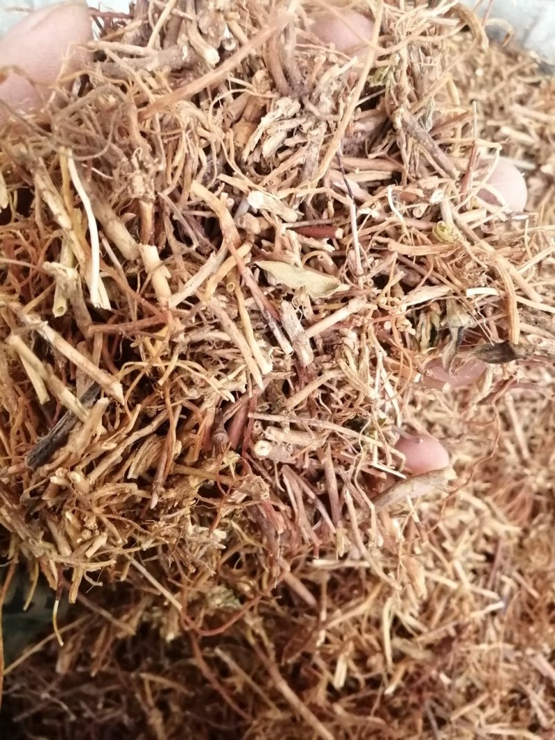 龙胆草，统货、全根，统货根切片、全根切片