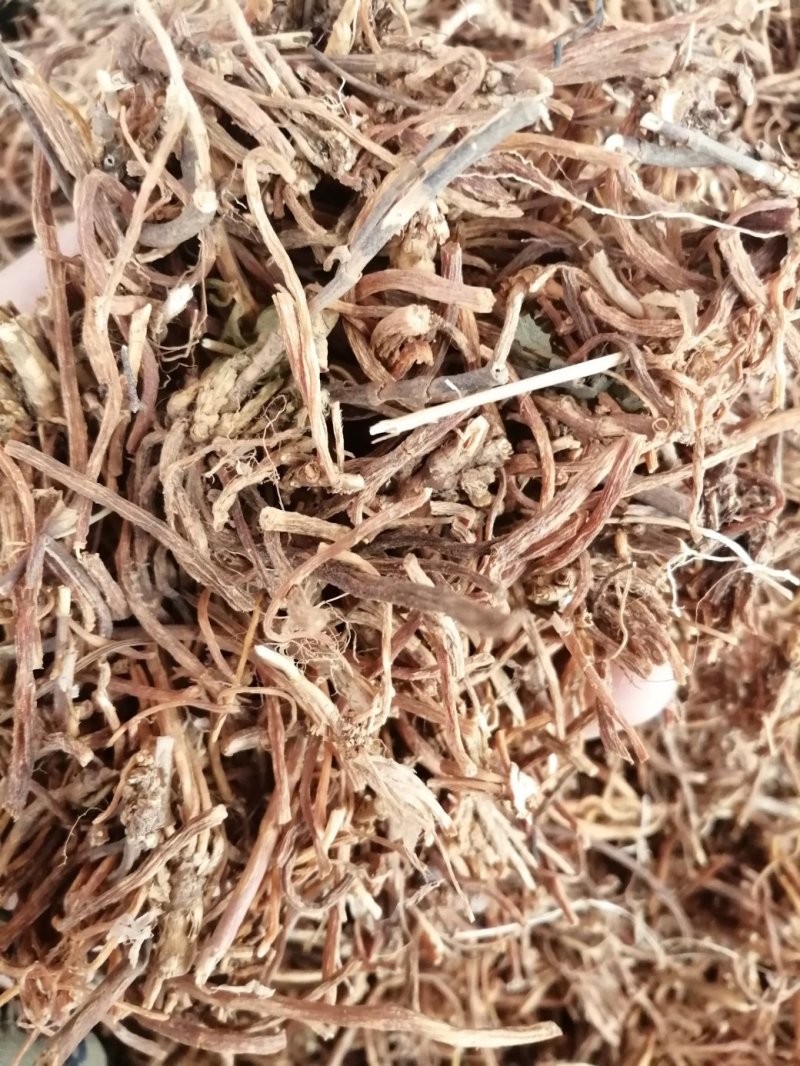 龙胆草，统货、全根，统货根切片、全根切片