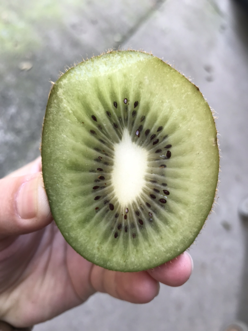 绿心猕猴桃，都江堰海沃德自有货源，硬度好，个头大，货不多