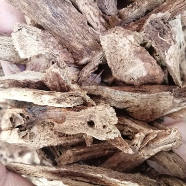 云木香，云木香切片，气味香浓，颜色漂亮干度好，现货供应