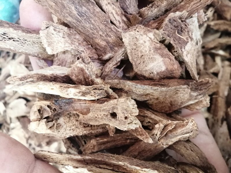 云木香，云木香切片，气味香浓，颜色漂亮干度好，现货供应