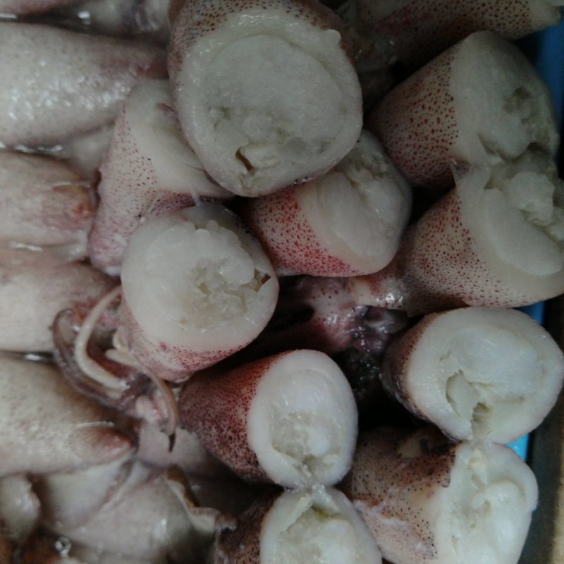 新鲜海兔子熟冻笔管鱿鱼膏鱿籽烧烤爆炒水产