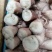 新鲜海兔子熟冻笔管鱿鱼膏鱿籽烧烤爆炒水产