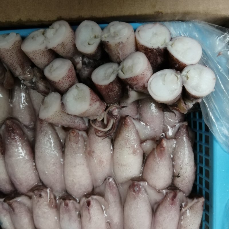 新鲜海兔子熟冻笔管鱿鱼膏鱿籽烧烤爆炒水产