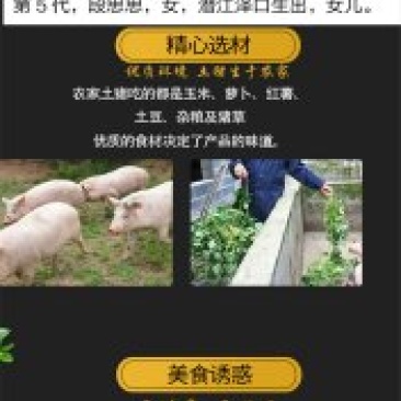 贺嘎婆鮓糊椒