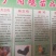 狮头鹅苗价格_鹅苗价格_鹅苗孵化场_包成活率_包回收送货