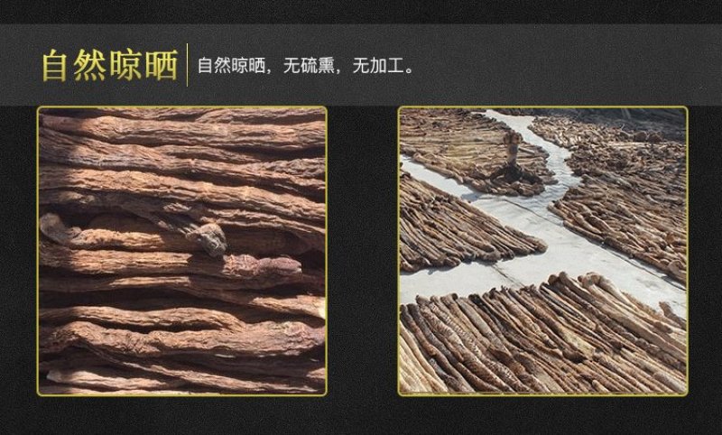 【内蒙金锁阳】锁阳切片