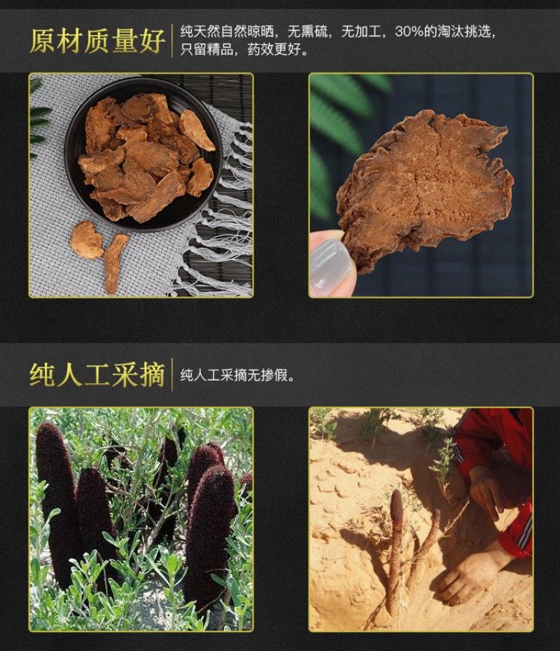 【内蒙金锁阳】锁阳切片