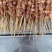 内蒙古锡林郭勒草原羊肉串，精选羔羊元宝肉，供应烧烤店