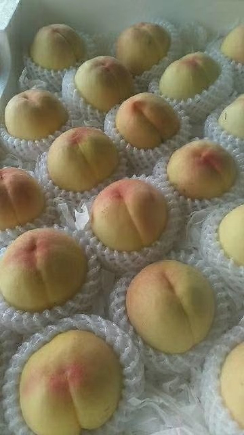 新沂水蜜桃上市