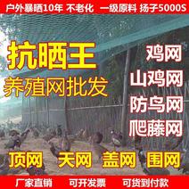 养鸡网养殖菜园围栏网鸭鹅网拦鸡网塑料尼龙山鸡网安全防护网