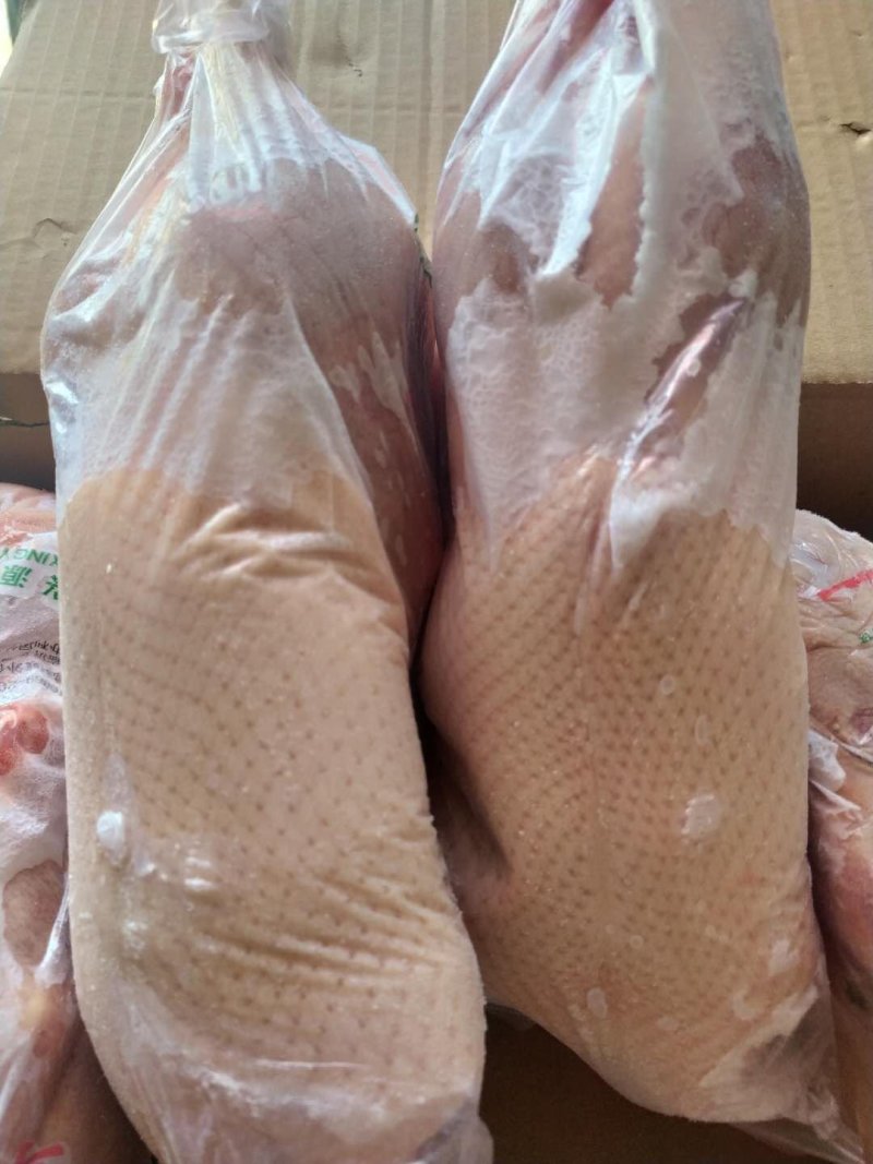 白条鸭