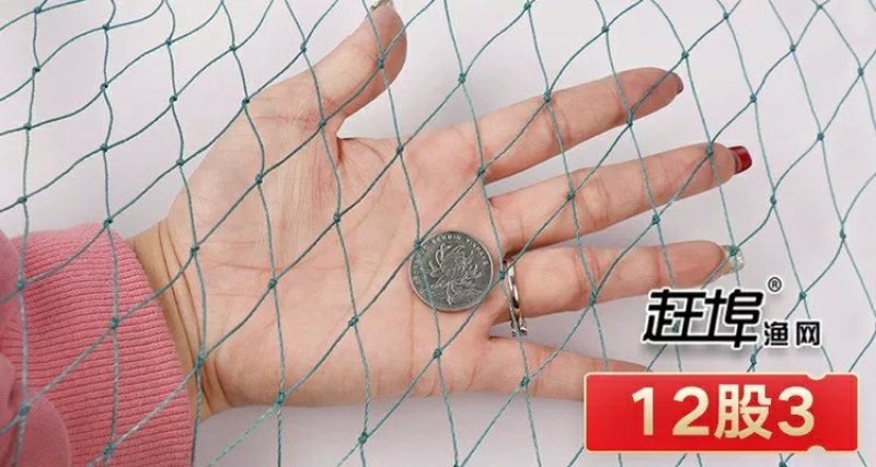 养鸡网养殖菜园围栏网鸭鹅网拦鸡网塑料尼龙山鸡网安全防护网