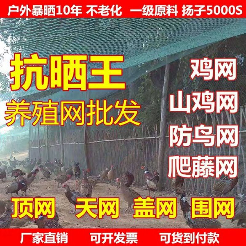 养鸡网养殖菜园围栏网鸭鹅网拦鸡网塑料尼龙山鸡网安全防护网