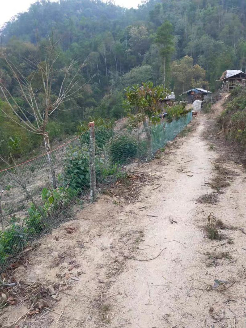 养鸡网养殖菜园围栏网鸭鹅网拦鸡网塑料尼龙山鸡网安全防护网