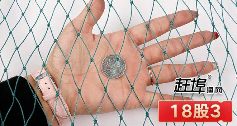 养鸡网养殖菜园围栏网鸭鹅网拦鸡网塑料尼龙山鸡网安全防护网