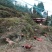养鸡网养殖菜园围栏网鸭鹅网拦鸡网塑料尼龙山鸡网安全防护网