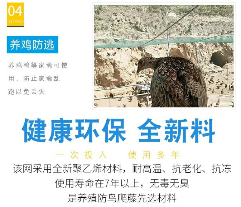 养鸡网养殖菜园围栏网鸭鹅网拦鸡网塑料尼龙山鸡网安全防护网