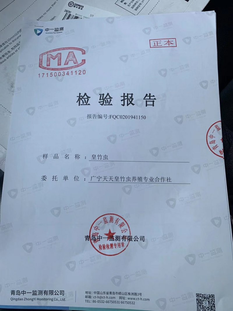 活冻竹虫活虫竹笋虫速冻虫食用竹虫【活竹虫速冻发】