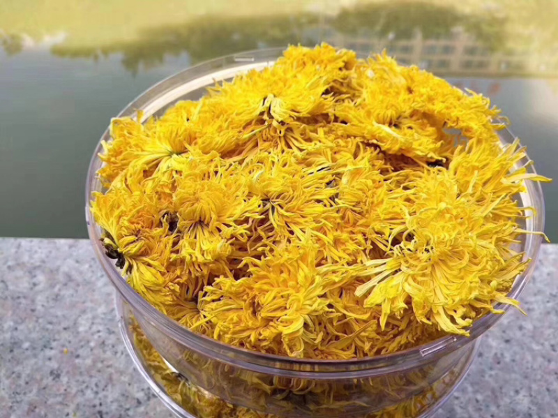 金丝黄菊