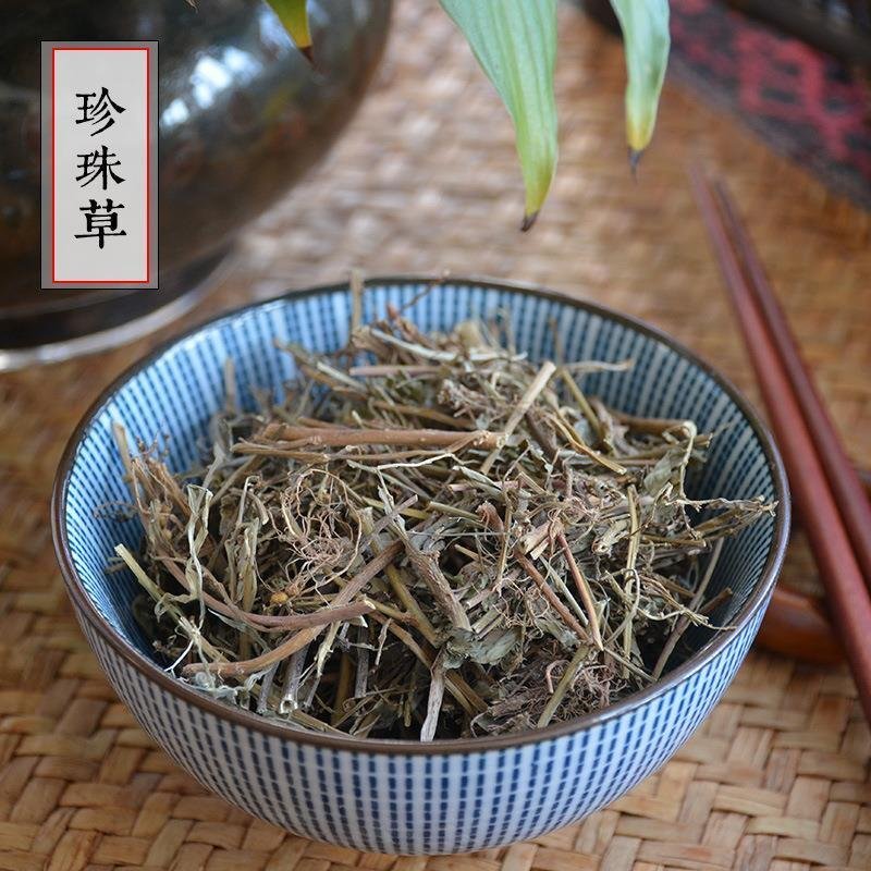 珍珠草，产地直道地药材，药典标准支持线上交易保障