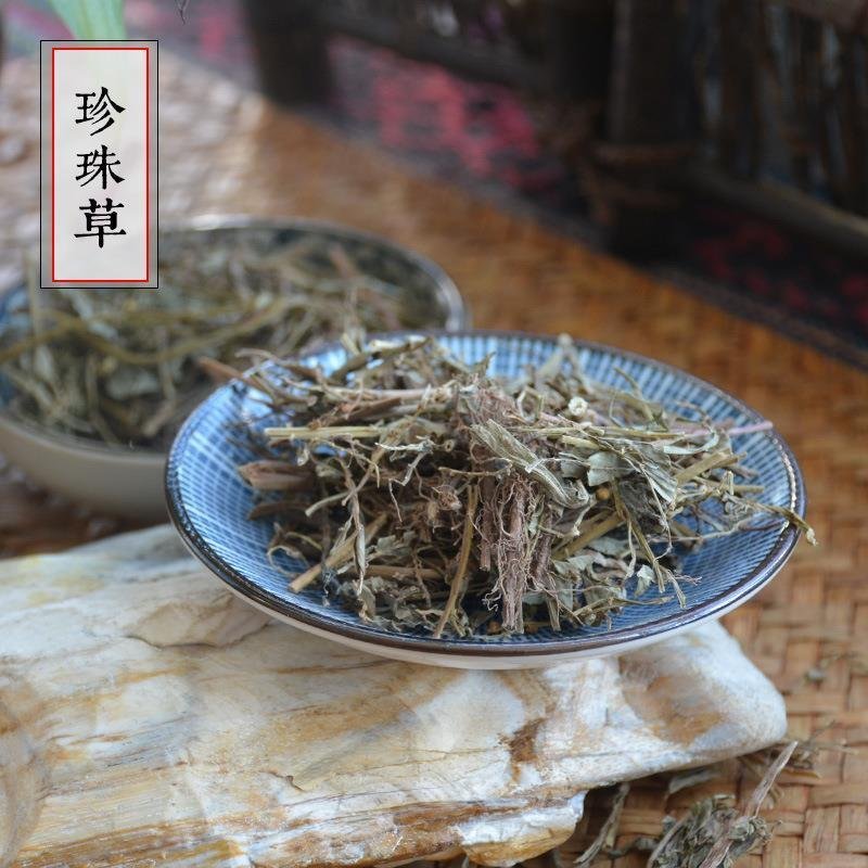 珍珠草，产地直道地药材，药典标准支持线上交易保障