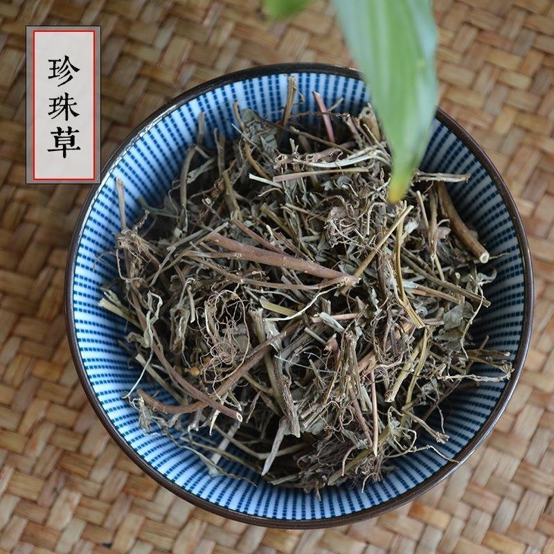 珍珠草，产地直道地药材，药典标准支持线上交易保障