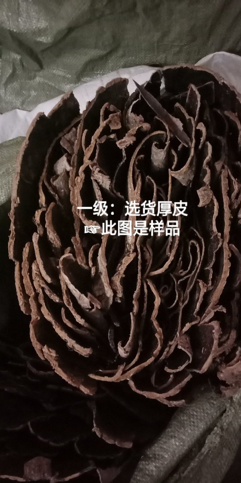 杜仲皮深山生长30年以上树龄【1：通货2:选货3:优质】