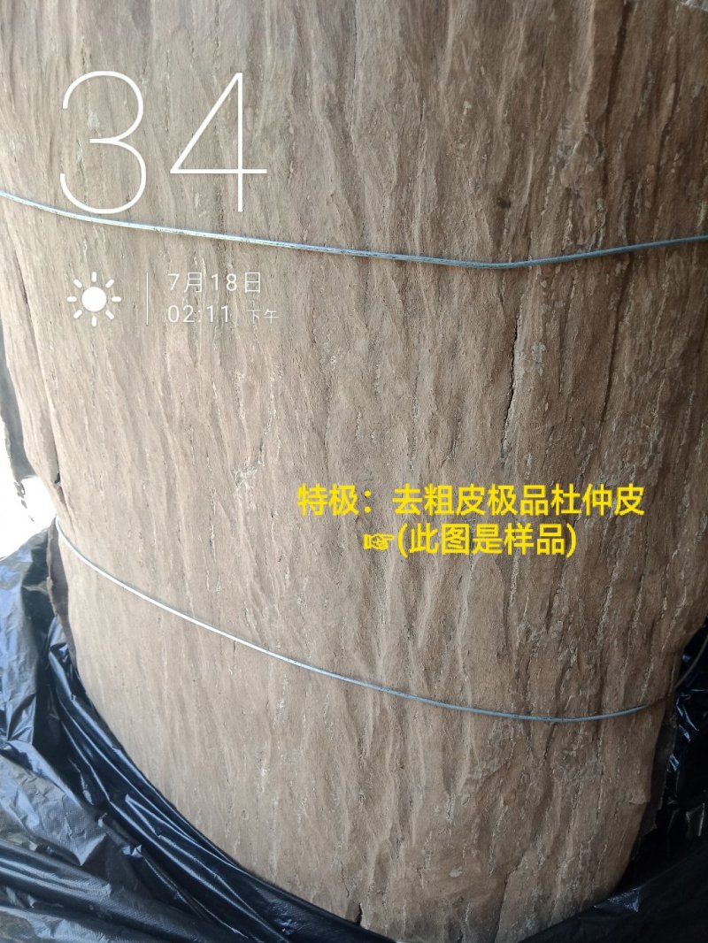 杜仲皮深山生长30年以上树龄【1：通货2:选货3:优质】