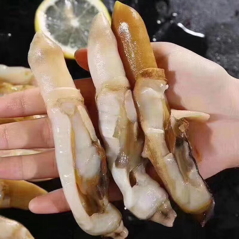 《有好货》蛏王肉蛏子蛏王肉