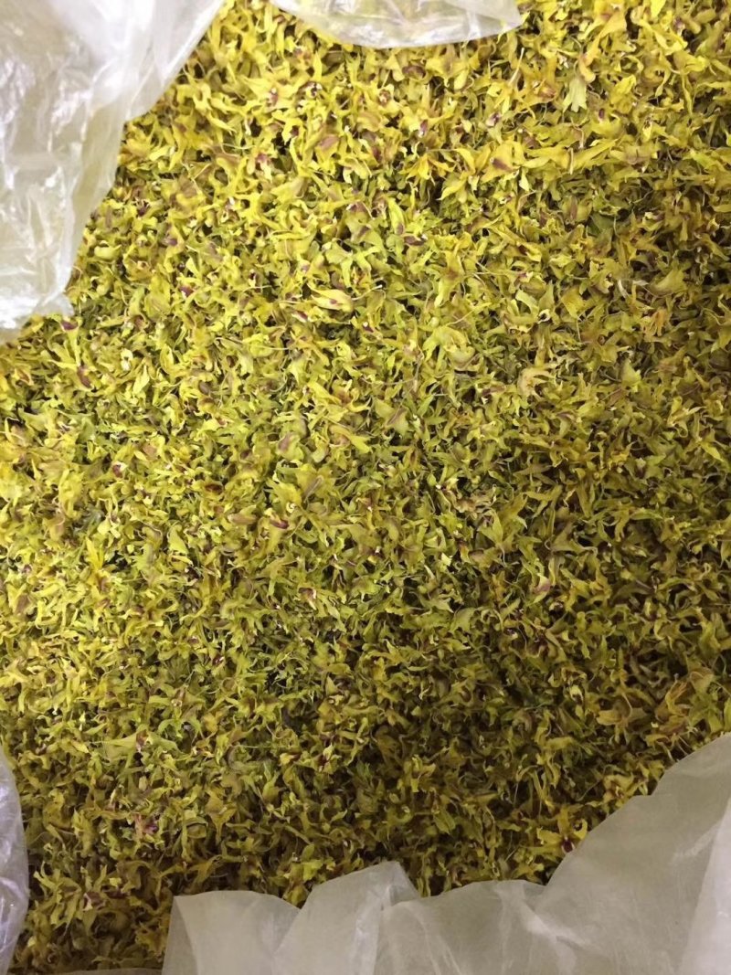 浙江种铁皮石斛花茶干花绿花金黄花
