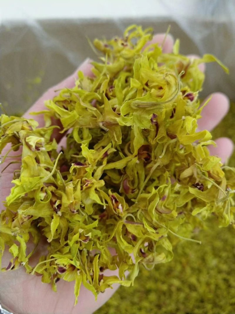 浙江种铁皮石斛花茶干花绿花金黄花