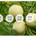 诚信果行，以质量求生存，以信誉求发展