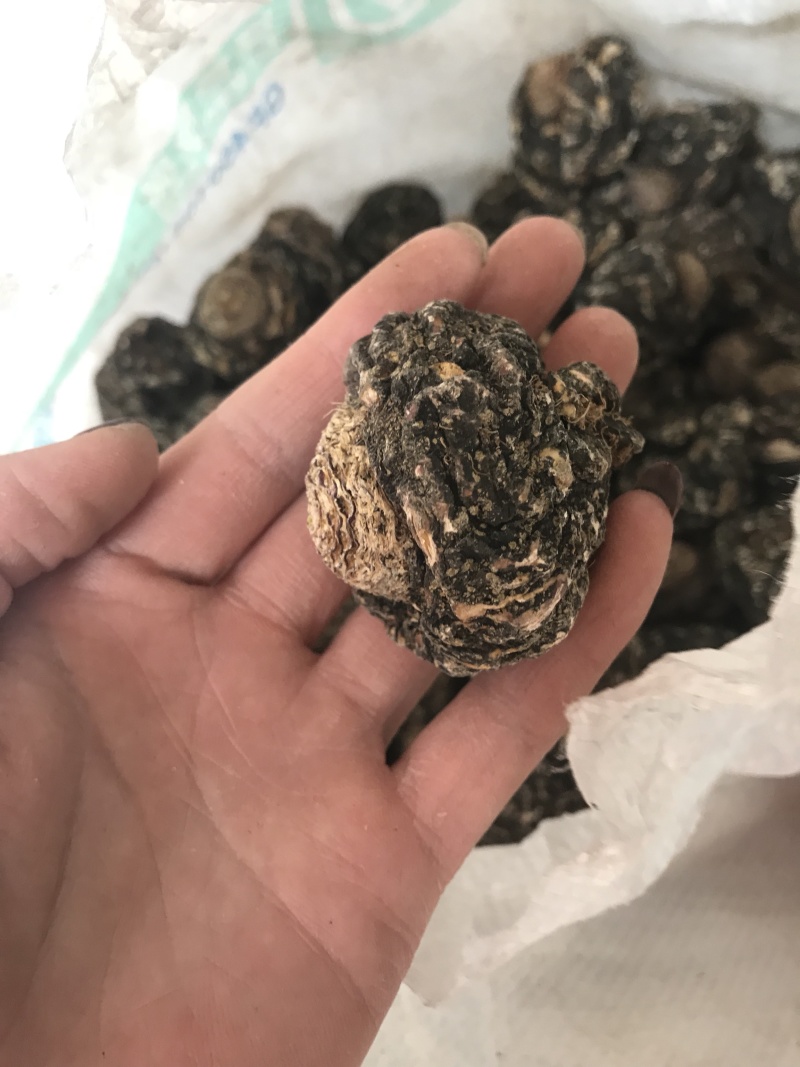 玛咖，丽一手货源产地直销