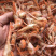 狗🦐渤海湾特产好吃不贵特别新鲜美味可口