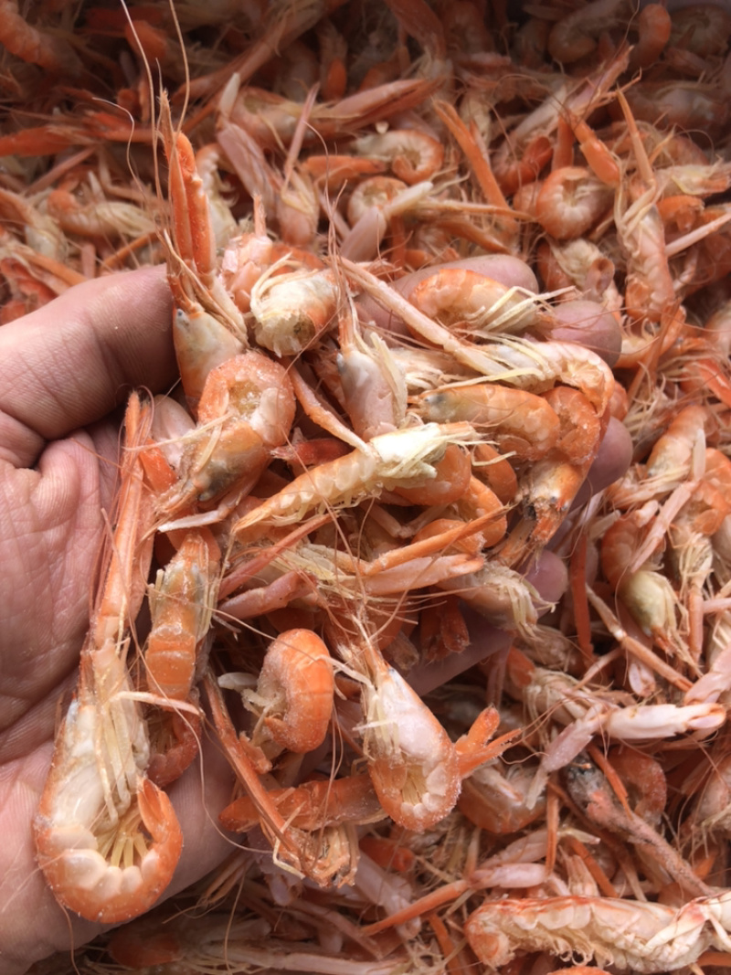 狗🦐渤海湾特产好吃不贵特别新鲜美味可口