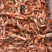 狗🦐渤海湾特产好吃不贵特别新鲜美味可口