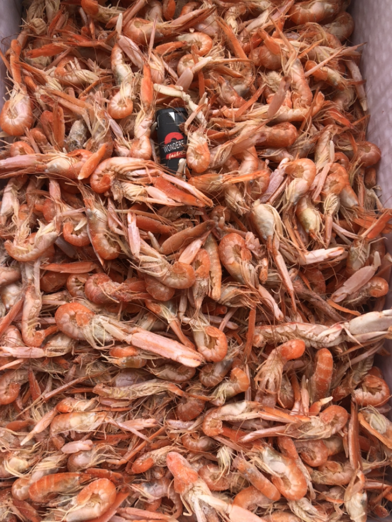 狗🦐渤海湾特产好吃不贵特别新鲜美味可口