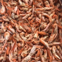 狗🦐渤海湾特产好吃不贵特别新鲜美味可口