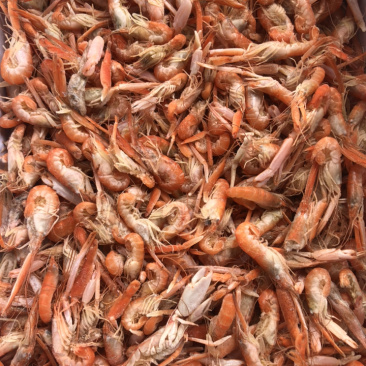 狗🦐渤海湾特产好吃不贵特别新鲜美味可口