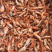 狗🦐渤海湾特产好吃不贵特别新鲜美味可口